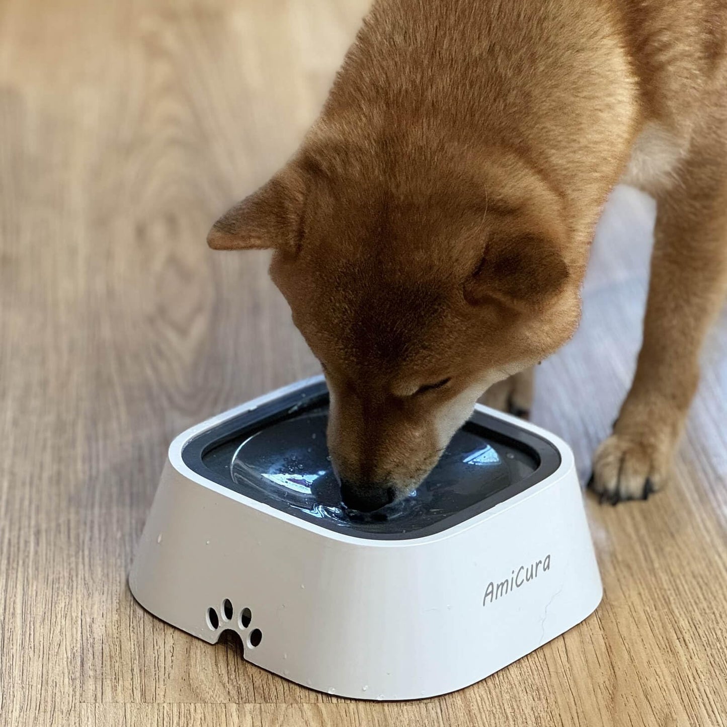 Plato Inteligente Antisalpicaduras: Pisos Secos y Agua Limpia